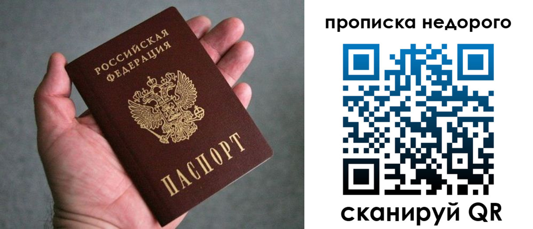 прописка паспорт в Новомосковске